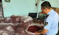 TPHCM: Phát hiện hàng tấn thực phẩm &apos;3 không&apos; chờ tiêu thụ