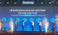 Khu công nghiệp lớn nhất Cần Thơ có nhà máy đầu tiên, vốn 300 triệu USD
