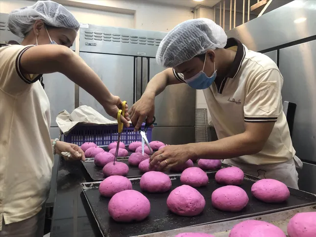 Bánh mì “giải cứu” thanh long ảnh 1