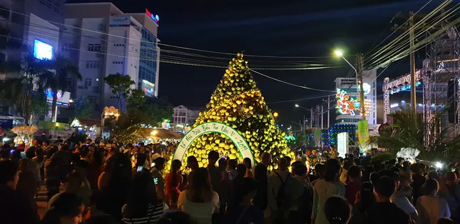 Hàng chục ngàn người đổ về Bến Tre tham quan lễ hội dừa ảnh 11